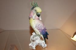 1930s Vintage Parrot Original Karl Ens East Germany Porcelain Figure 18cm