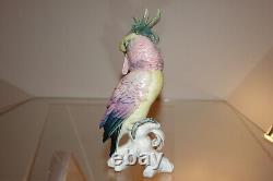 1930s Vintage Parrot Original Karl Ens East Germany Porcelain Figure 18cm