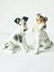 1940's Rosenthal Germany Pair Vintage Porcelain Statues Figurine Dogs Terriers