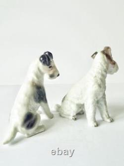 1940's Rosenthal Germany Pair Vintage Porcelain Statues Figurine Dogs Terriers