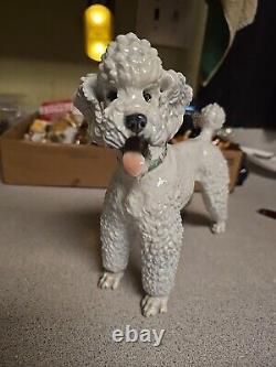 Absolutely Exquisite 1953 Vintage German Rosenthal Karner White Porcelain Poodle