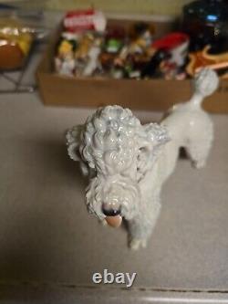 Absolutely Exquisite 1953 Vintage German Rosenthal Karner White Porcelain Poodle