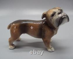 Antique Figure Dog Porcelain Figurine Germany HUS Unterweissbach Bulldog Doggy
