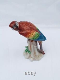 Antiques. Porcelain. Figurine Parrot. Sitzendorf. 1930