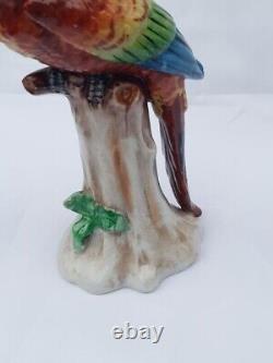 Antiques. Porcelain. Figurine Parrot. Sitzendorf. 1930