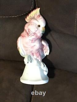 Aweee! Vintage Made in Germany Pink Yellow Cockatiel Cockatoo