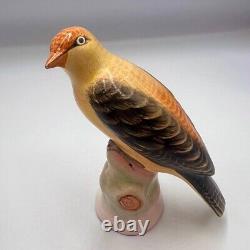 Beautiful 1950 Vintage Bird Porcelain Statue Figure Made in Germany 13 cm