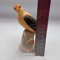 Beautiful 1950 Vintage Bird Porcelain Statue Figure Made in Germany 13 cm