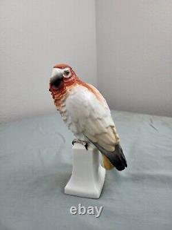 Beautiful Antique Porcelain Figurine Parrot Bird German Art Rosenthal Sculptor