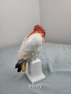 Beautiful Antique Porcelain Figurine Parrot Bird German Art Rosenthal Sculptor