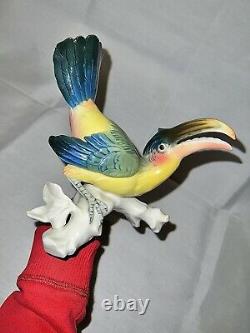 Beautiful Karl Ens Germany Toucan Parrot Vintage Bird Figurine