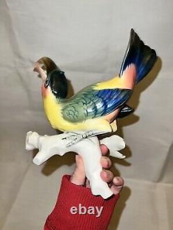 Beautiful Karl Ens Germany Toucan Parrot Vintage Bird Figurine