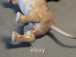 Exquisite Vintage German Porcelain Dachshund Dog Figurine Extremely Delicate