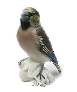 Germany Vintage Porcelain Figure Gale Grosbeak Bird On A Branch Hand Painted