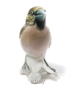 Germany Vintage Porcelain Figure Gale Grosbeak Bird On A Branch Hand Painted