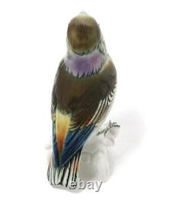 Germany Vintage Porcelain Figure Gale Grosbeak Bird On A Branch Hand Painted