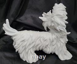 RARE Vintage NYMPHENBURG FLUFFY DOG FIGURINE GERMANY Blanc De Chine ALL WHITE