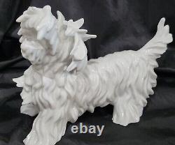RARE Vintage NYMPHENBURG FLUFFY DOG FIGURINE GERMANY Blanc De Chine ALL WHITE