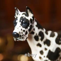 Rare Vintage Dog Hand Painting Black & White Porcelain By Rosenthal Germany 1960