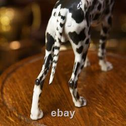 Rare Vintage Dog Hand Painting Black & White Porcelain By Rosenthal Germany 1960