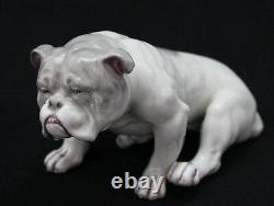 Rare antique porcelain English Bulldog by Gebruder Heubach Lichte made 1900-1910