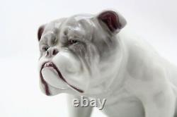 Rare antique porcelain English Bulldog by Gebruder Heubach Lichte made 1900-1910