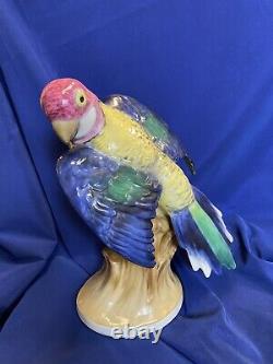 VINTAGE KARL ENS 1920'S German porcelain parrot bird figurine African Macaw 10