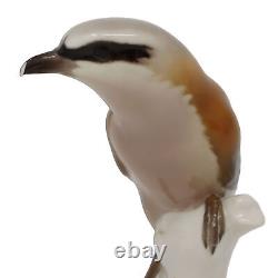 VTG Nymphenburg Shrike #352, Karner Porcelain Bird Figurine 6