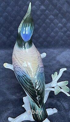 Vintage 1950s Rare Germany Original porcelain Bird Swiristel Karl Ens Marked