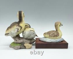 Vintage BOEHM S/2 Figurines #400-79 & #234 Ducks Mallards Canadian Gosling 1978
