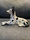 Vintage Great Dane Figurine Erphila Made In Germany Large