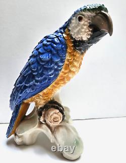 Vintage Goebel Macaw Parrot Porcelain Figurine8.5 Tall GV 79Circa 1967