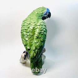 Vintage Goebel W Germany Parrot large