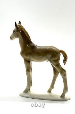 Vintage Hutschenreuther Porcelain Chestnut Foal Horse Figurine 1960 Germany