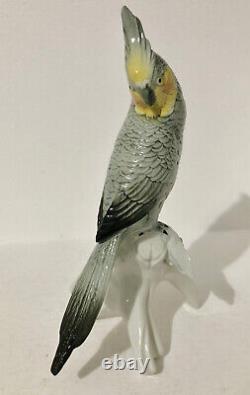 Vintage Karl Ens Porcelain Cockatiel on Branch, 1900-1945