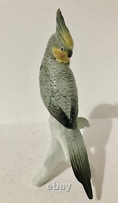 Vintage Karl Ens Porcelain Cockatiel on Branch, 1900-1945