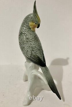 Vintage Karl Ens Porcelain Cockatiel on Branch, 1900-1945