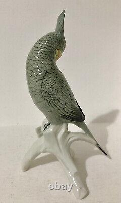 Vintage Karl Ens Porcelain Cockatiel on Branch, 1900-1945