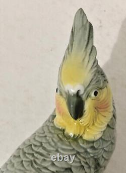 Vintage Karl Ens Porcelain Cockatiel on Branch, 1900-1945