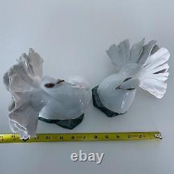 Vintage Pair of White Doves, Rosenthal by Heindenreich, Germany, 1930's