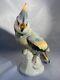 Vintage Schafer (scheafer) And Vater Porcelain Multicolored Parrot