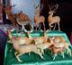 Vtg Herd Of Deer Breyer Germany Hong Kong Hard Plastic Flocked Figures